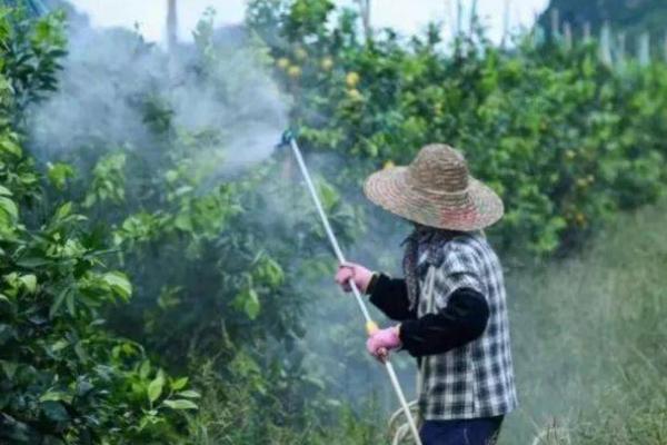 萘乙酸生根剂的使用方法,包括喷施、浸种、浸根等方法