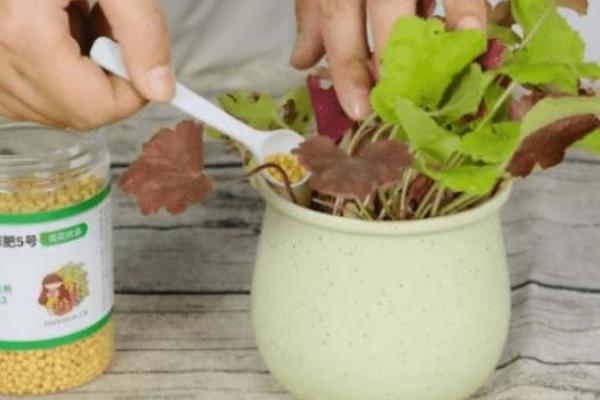 磷酸二氢钾有什么用途,可作为肥料使用、也可作为食品改良添加剂