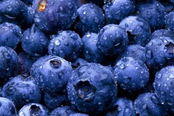 蓝莓A级和B级区别，A级比B级更好