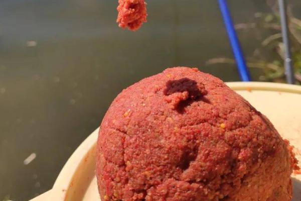 钓青鱼适合用什么饵料打窝，可使用螺狮、菜籽饼等谷物类饵料