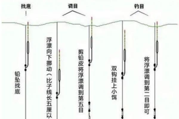 钓青鱼适合用什么饵料打窝，可使用螺狮、菜籽饼等谷物类饵料