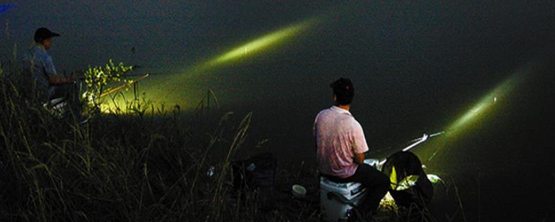 夏天夜钓一般几点有口