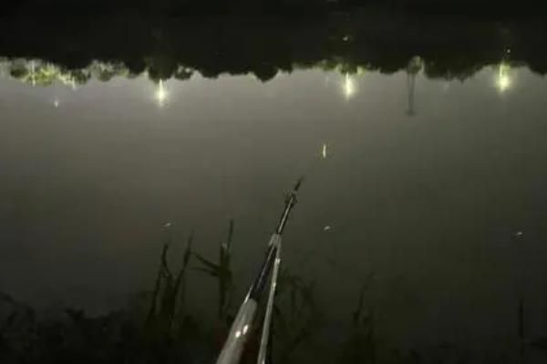 夏天夜钓一般几点有口,可以选择晚上6-8点,晚上10-12点,凌晨2-4点