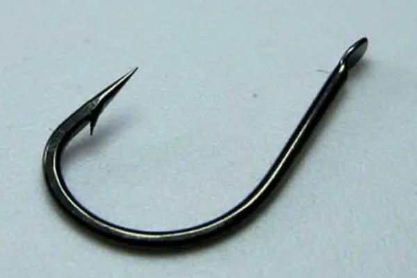 夏天夜钓一般几点有口,可以选择晚上6-8点,晚上10-12点,凌晨2-4点