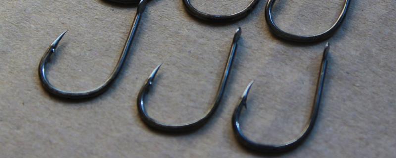 十号伊势尼钓多大鱼