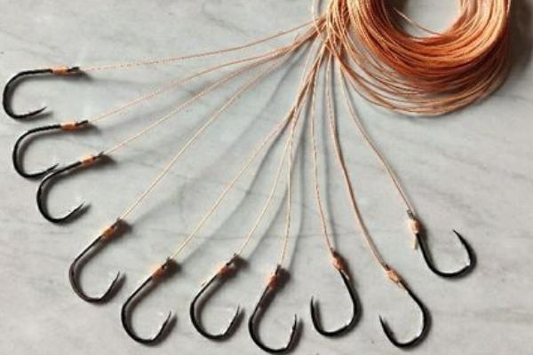 十号伊势尼钓多大鱼,可以钓10-20斤的鱼