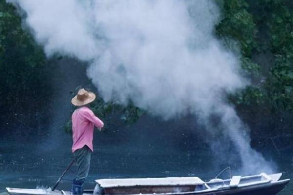 鱼塘水发黑如何才可以让水变清,首先要做好清塘的工作