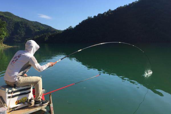 钓桂鱼的技巧，要保证饵料的活性