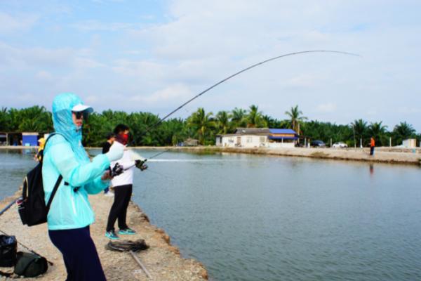 钓桂鱼的技巧，要保证饵料的活性