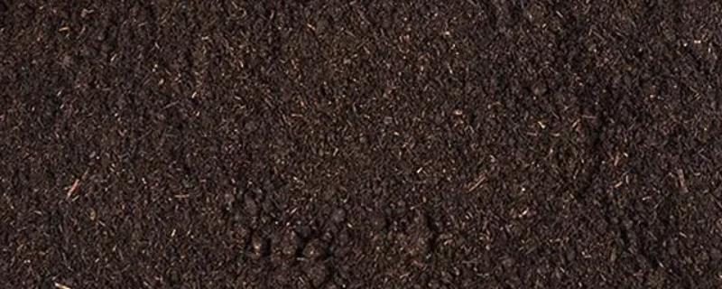 有机肥的有效期有多长