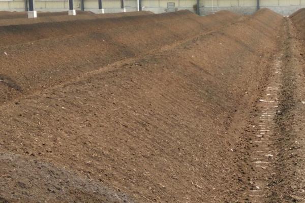 有机肥的有效期有多长,肥效长达6-8个月