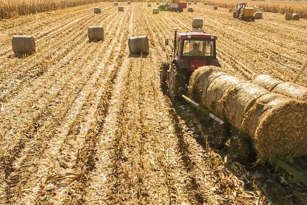 有机肥的有效期有多长,肥效长达6-8个月