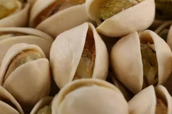 开心果是白果吗,二者除了长得像之外几乎没有任何关系