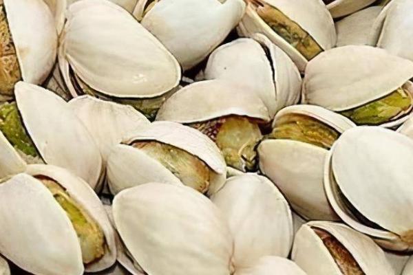 开心果是白果吗,二者除了长得像之外几乎没有任何关系