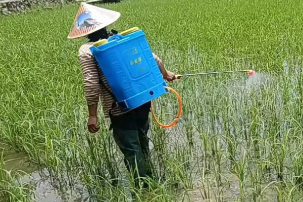 2克70%吡虫啉要兑多少水,一般可兑水20斤