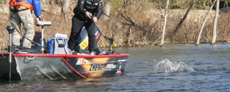 秋冬季路亚钓什么鱼