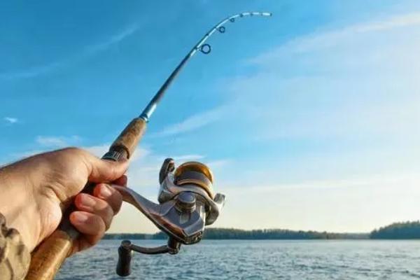 秋冬季路亚钓什么鱼，可以钓鳜鱼、鲶鱼、鲢鳙等鱼种