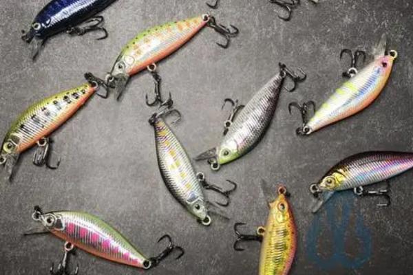 秋冬季路亚钓什么鱼，可以钓鳜鱼、鲶鱼、鲢鳙等鱼种