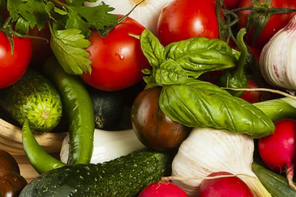 新鲜蔬菜有哪些品种,包括叶菜类、根茎类、芽苗类等