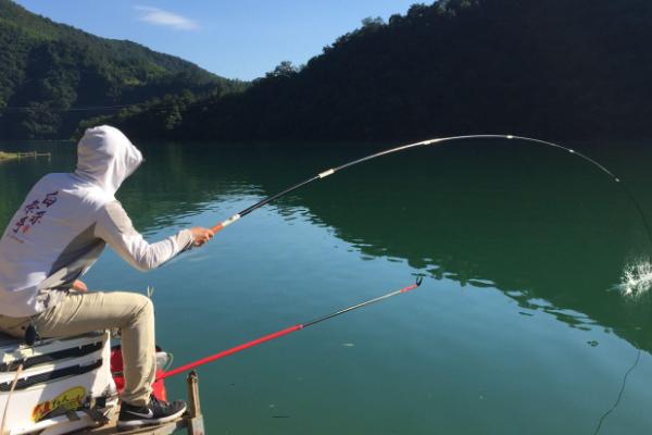 秋季能钓鲢鳙吗,可以钓且效果不错