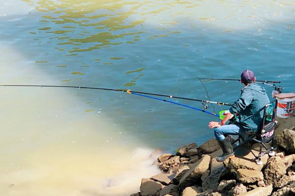 秋季能钓鲢鳙吗,可以钓且效果不错