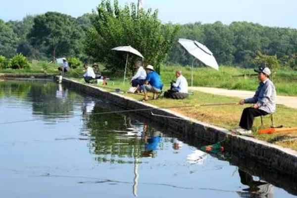 秋季能钓鲢鳙吗,可以钓且效果不错