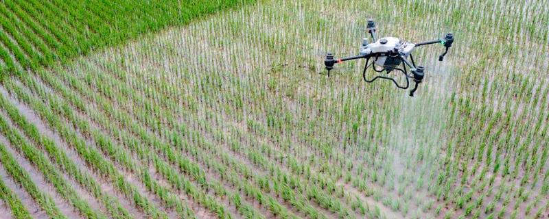 异丙威如何使用