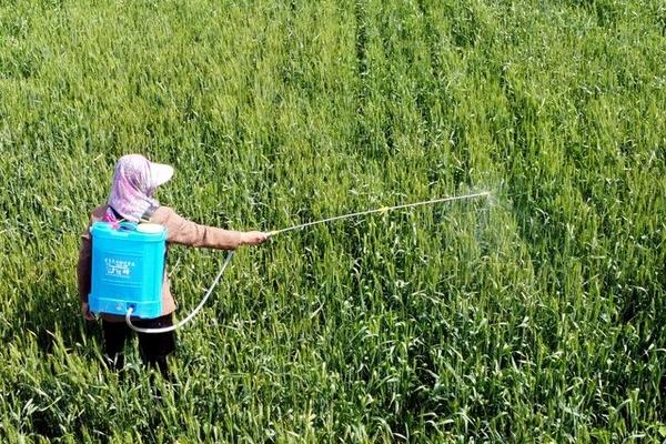 异丙威如何使用，不同作物的防治方法不同