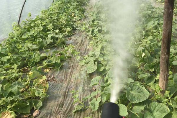 异丙威如何使用，不同作物的防治方法不同