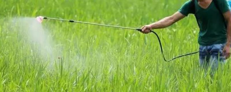 高氯+甲维盐的好处