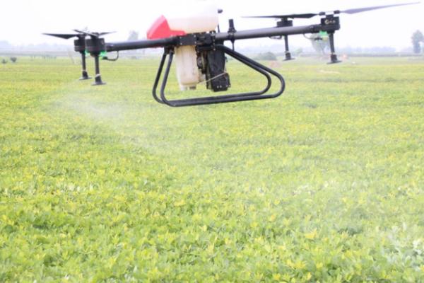 高氯+甲维盐的好处,作用显著且持效期长