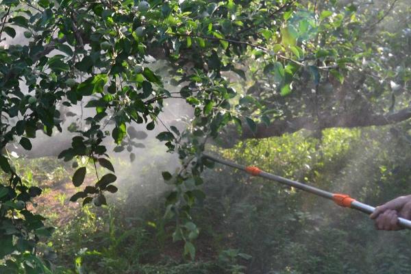 高氯+甲维盐的好处,作用显著且持效期长