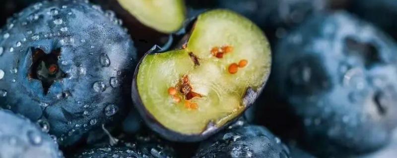 蓝莓的果肉颜色