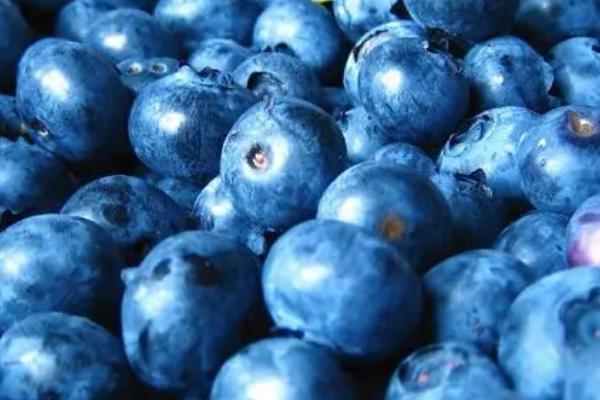蓝莓的果肉颜色,通常呈蓝色或淡蓝色