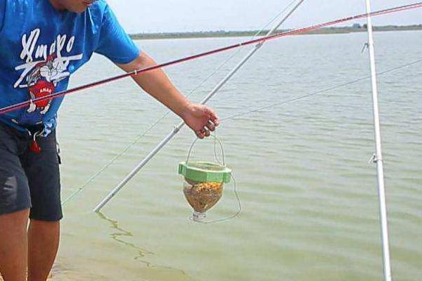 能不能用阿魏钓鱼,可以垂钓且效果良好