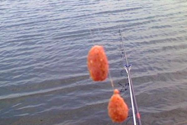 能不能用阿魏钓鱼,可以垂钓且效果良好