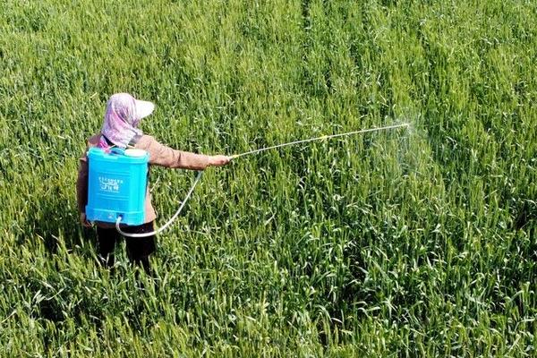 磷酸二氢钾能和杀菌剂混用吗，可以与酸性、中性杀菌剂混用