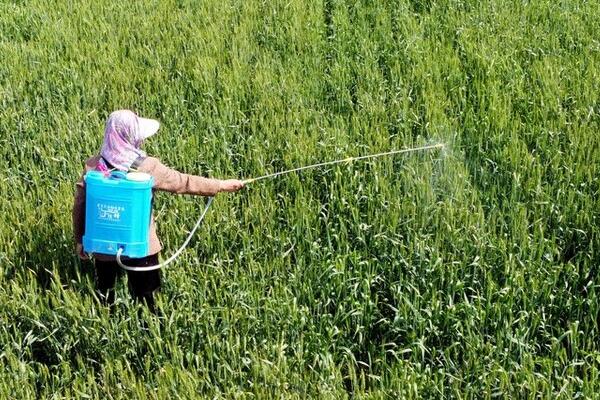 含氨基酸肥料的应用效果，会受到使用对象等因素的影响