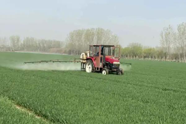 含氨基酸肥料的应用效果，会受到使用对象等因素的影响