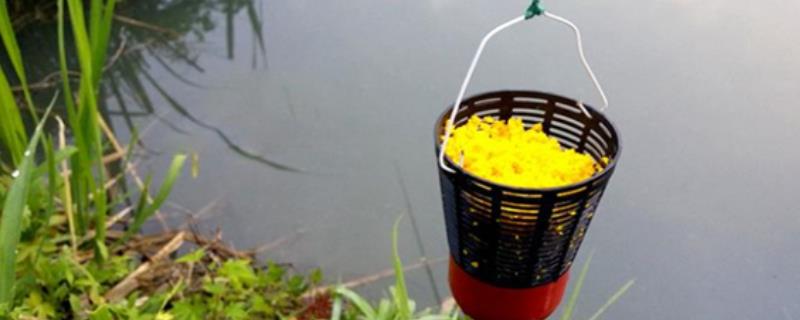 野钓用什么打窝