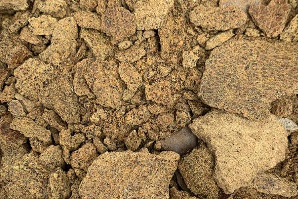 野钓用什么打窝，根据鱼种选择窝料