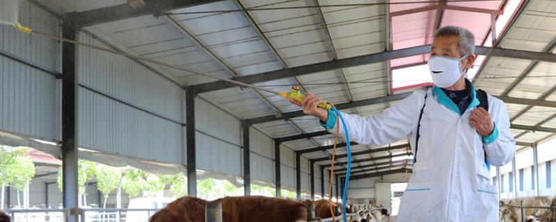 牛舍消毒用什么消毒液