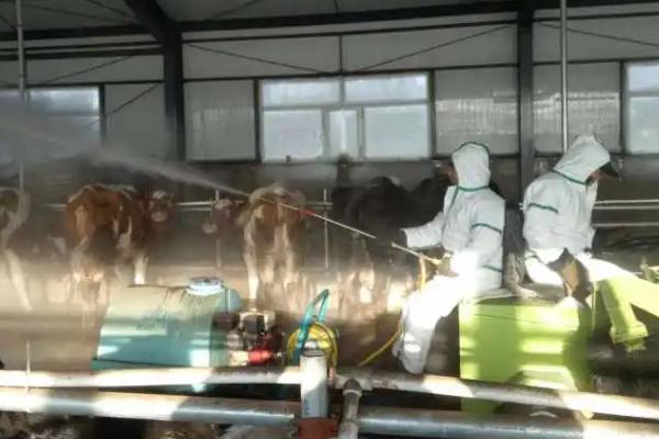 牛舍消毒用什么消毒液，不同消毒液使用范围和使用量有区别