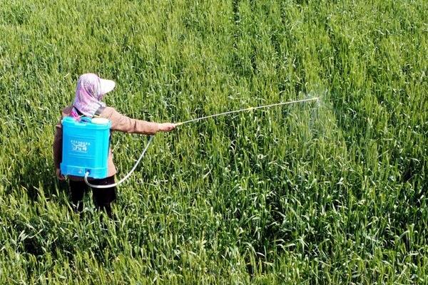 金都尔使用范围，以在芝麻、甘蔗、大豆、玉米等作物上使用