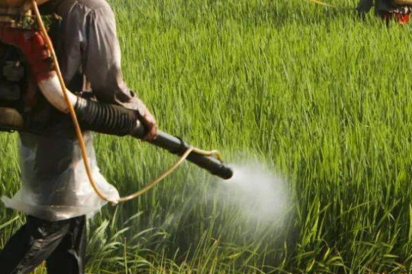 金都尔使用范围，以在芝麻、甘蔗、大豆、玉米等作物上使用