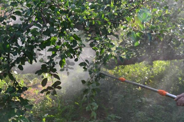 金都尔使用范围，以在芝麻、甘蔗、大豆、玉米等作物上使用