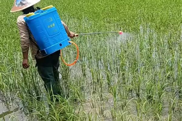 福美双的作用和用途，可防治霜霉病、疫病、炭疽病等