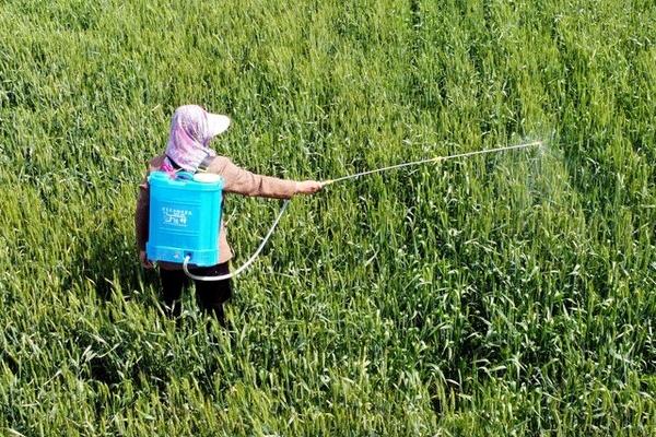 怎么使用吡唑醚菌酯,通常可兑水喷雾