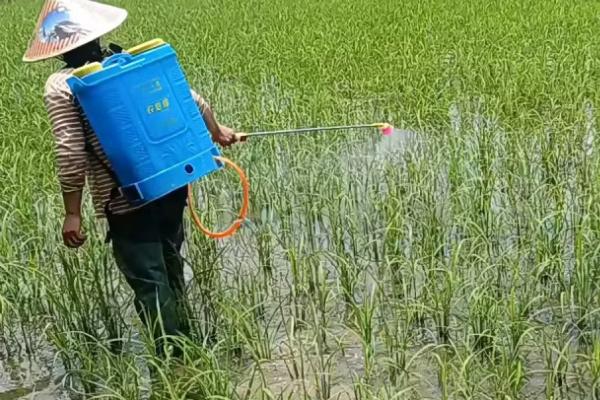 甲维虫螨腈和虱螨脲防治什么虫,前者可防治木虱、粉虱、蚜虫等