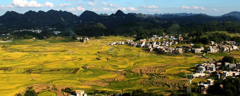 洼地和沼泽的区别